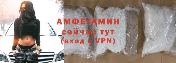 хмурый Абаза