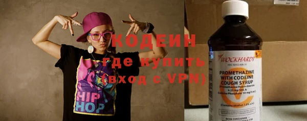 хмурый Абаза