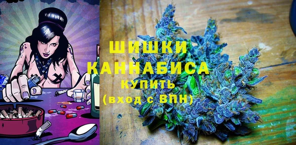 хмурый Абаза