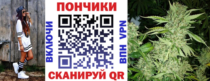 кракен вход  Вытегра  Каннабис индика 